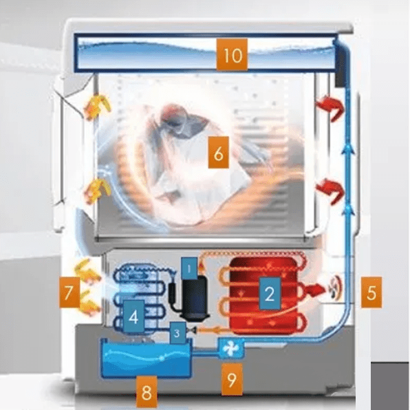 Working principle diagram and internal structure of the heat pump dryer